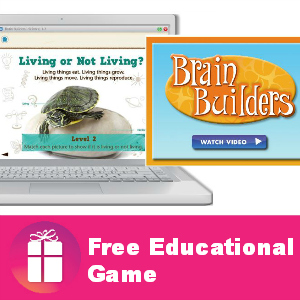 Freebie Brain Builders Learning Game
