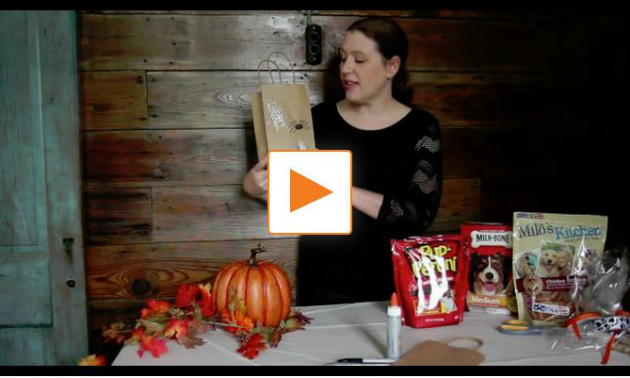 Do-It-Yourself Dog Treat Bags for Halloween