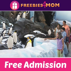 Free Admission for Military at SeaWorld & More