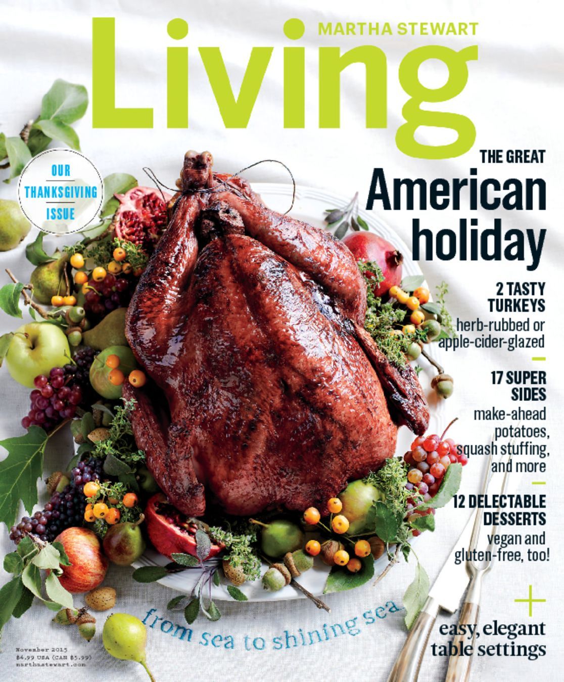 4949-martha-stewart-living-Cover-2015-November-Issue