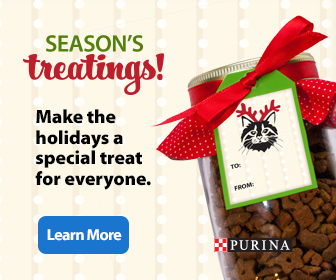 DIY Pet Gifts from Purina