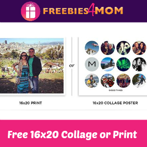 Free Shutterfly 16x20 Collage Poster or Print