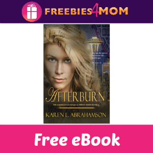 Free eBook: Afterburn ($4.99 Value)