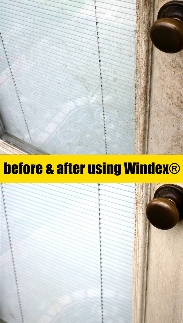 Spring Cleaning Door to my Backyard with Windex® Brand from Walmart