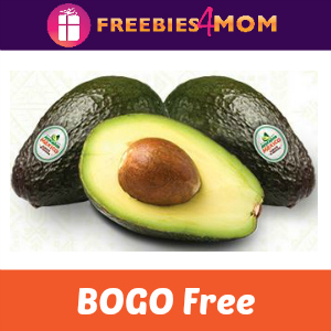 Coupon: BOGO Free Avocados from Mexico