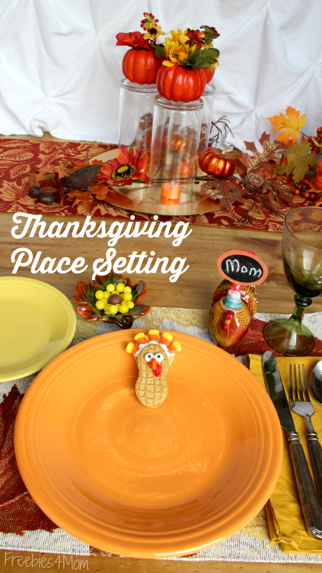 Thanksgiving Place Setting from Family Dollar