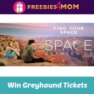 Sweeps Greyhound's Find Your Space