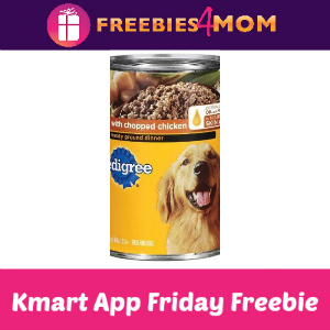 Free Pedigree Wet Dog Food at Kmart