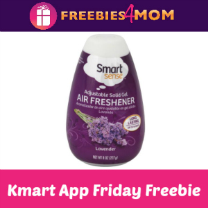 Free Smart Sense Air Freshener Cone at Kmart
