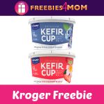 *Expired* Free Lifeway Kefir Cup at Kroger - Freebies 4 Mom