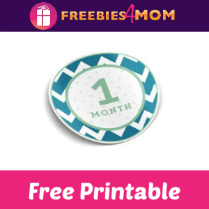 Free Printable Baby's Monthly Milestone Stickers