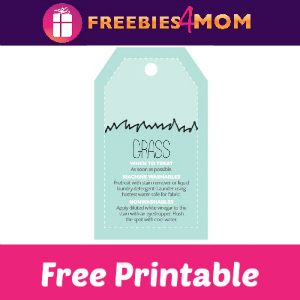 Free Printable Stain Removal Info Tags