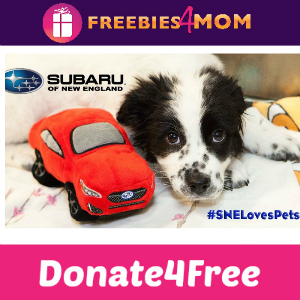 Donate4Free: Subaru Loves Pets
