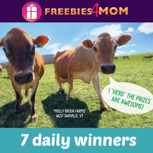 🐮Sweeps Stoneyfield Back To School (7 daily winners)