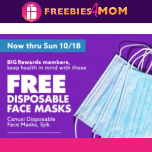 😷Free Disposable Masks from Big Lots