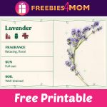 🌿Free Organization Printable: Guide to Create an Indoor Herb Garden ...