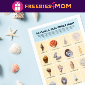 🐚Free Printable Seashell Scavenger Hunt & Identification Flashcards