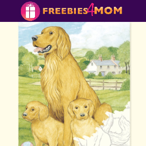 🐕Free Printable Adult Coloring: English Springer Spaniel & Golden Retriever Dogs