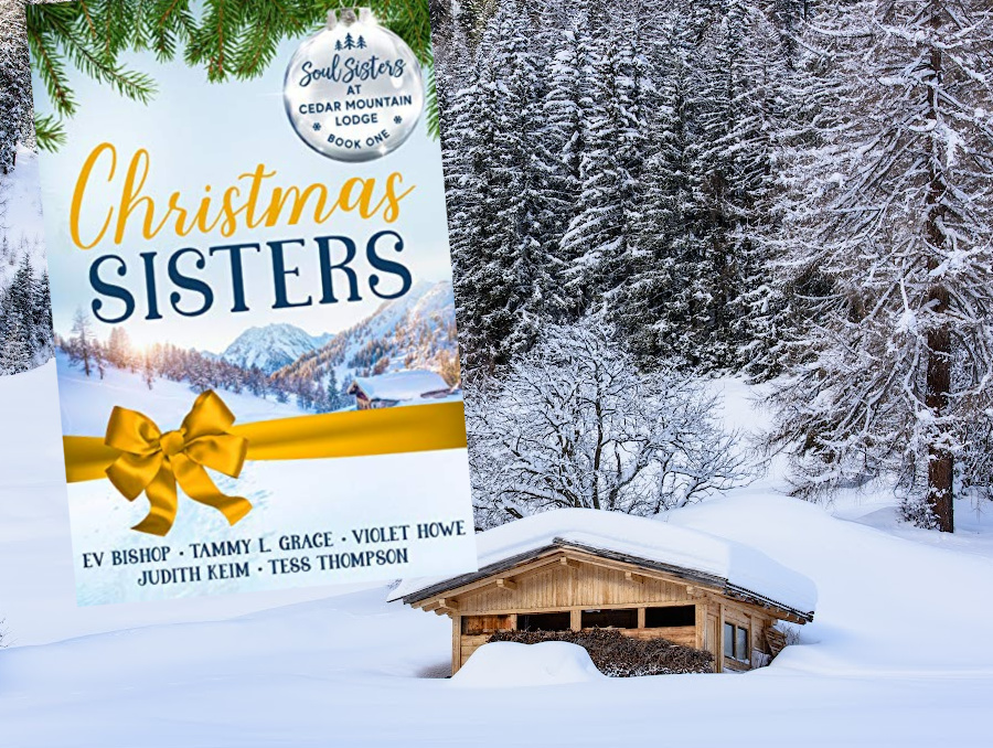 🤶Free Christmas eBook: Christmas Sisters ($0.99 value)