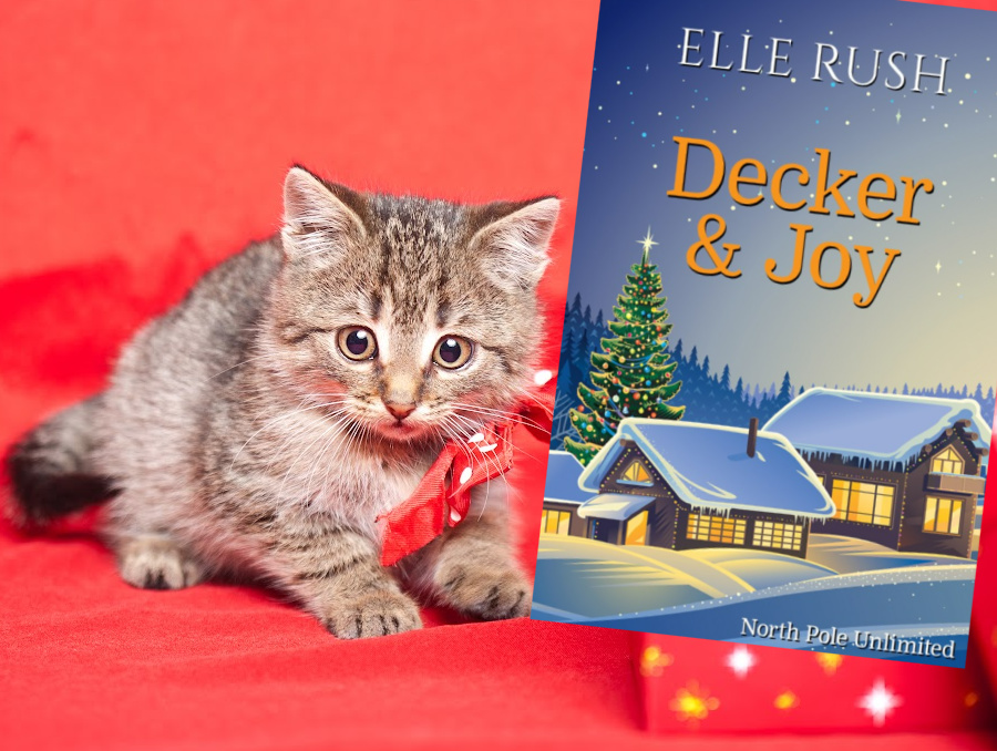 🎅Free Christmas eBook: Decker and Joy ($2.99 value)