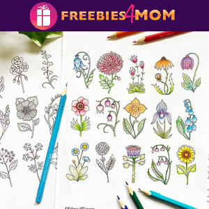 🌻Free Printable Adult Coloring: 30 Days of Flowers by Johanna Basford