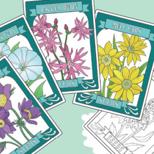 🌻Free Printable Adult Coloring: Wildflowers