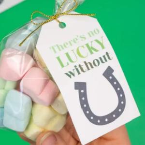 🌈Free Printable Tags: There's No Lucky Without U