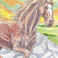🐴Free Printable Adult Coloring: Horses (color by number) - Freebies 4 Mom