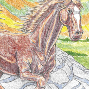 🐴Free Printable Adult Coloring: Horses (color by number)