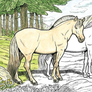 🐴Free Printable Adult Coloring: Great Horses
