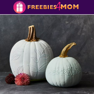 🎃Free In-Store Event at Michaels: Pumpkin Canvas Painting