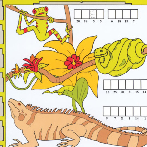 ðŸ¦œFree Kids Printable: Rain Forest Activities (ages 6-8)