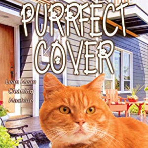 🐱Free Mystery eBook: A Purrfect Cover ($4.99 value)