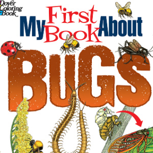 🐛Free Kids Printable: My First Book About Bugs (ages 8-12)