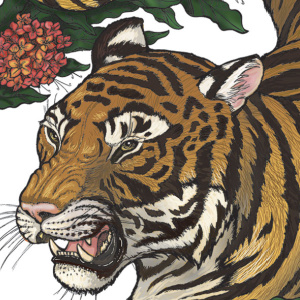 🐅Free Printable Adult Coloring: Wild Animal Portraits