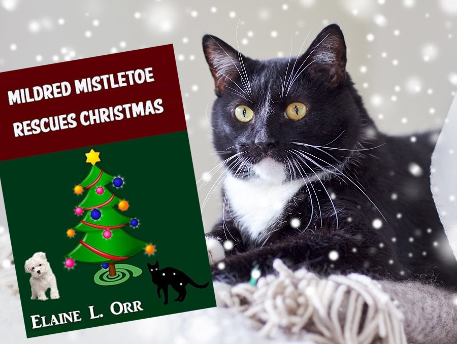 🏰Free Christmas eBook: The Mistletoe Trap ($0.99 value)