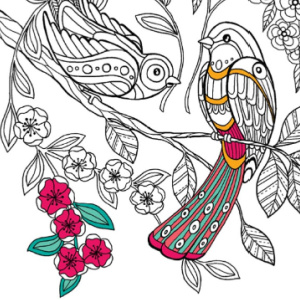 🦜Free Printable Adult Coloring: Birds of Paradise