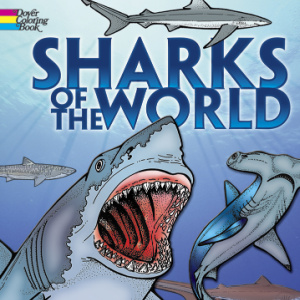 🦈Free Printable Adult Coloring: Sharks of the World