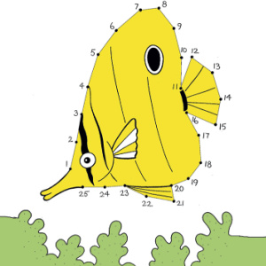 🐠Free Kids Printable: Sea Life Dot-to-Dot (ages 3-8)