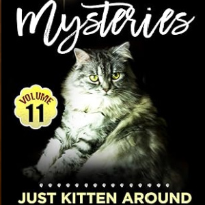 🐱Free eBook Set: Magical Cool Cats Mysteries (Vol. 11)