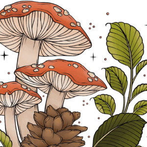 🍄Free Printable Adult Coloring: The Art of Mushrooms