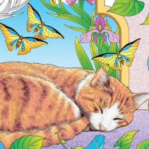 🐱Free Printable Adult Coloring: Cats