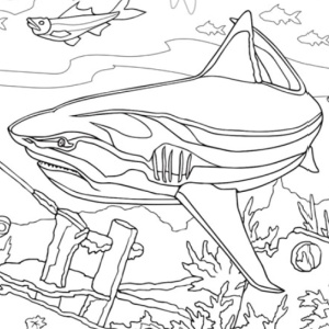 🦈Free Printable Adult Coloring: Let's Explore! Sharks