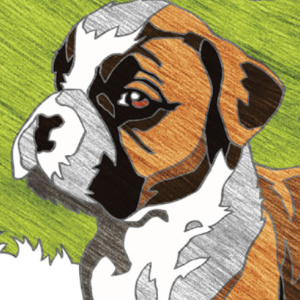 🐶Free Printable Adult Coloring: Dogs Color by Number