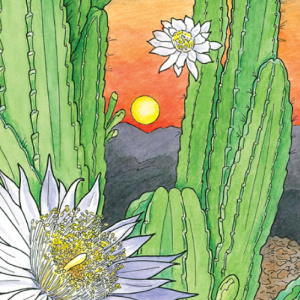 🌵Free Printable Adult Coloring: Desert Blooms