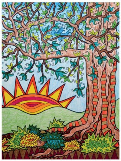🌳Free Printable Adult Coloring: Into the Woods with Hidden Pictures
