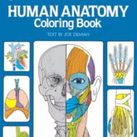 🩻Free Kids Printable: Human Anatomy - Freebies 4 Mom