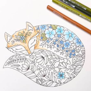 🦊Free Printable Adult Coloring: Fox from Wonderful Wildflowers by Johanna Basford